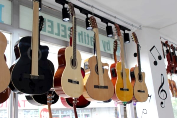 Gitar Çeşitleri