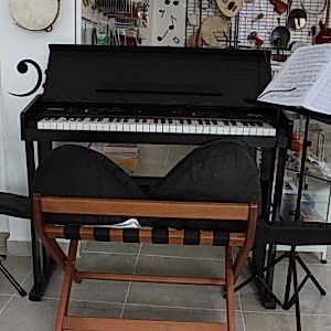 Deniz Müzik Merkezi: Piyano Kursu, Gitar Kursu, Keman Kursu, Bağlama Kursu